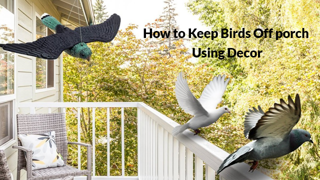 How To Keep Birds Off Porch - Top Effective Techniques