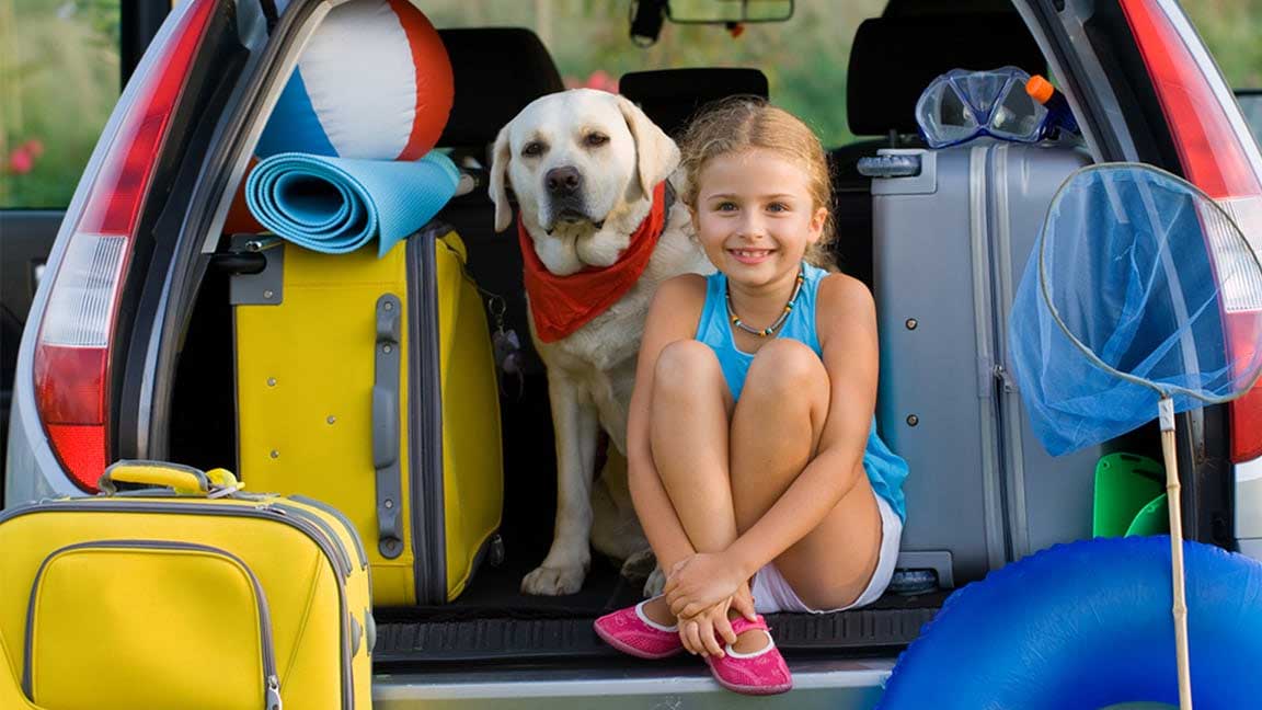 Tips-on-How-to-Travel-with-Your-Dog