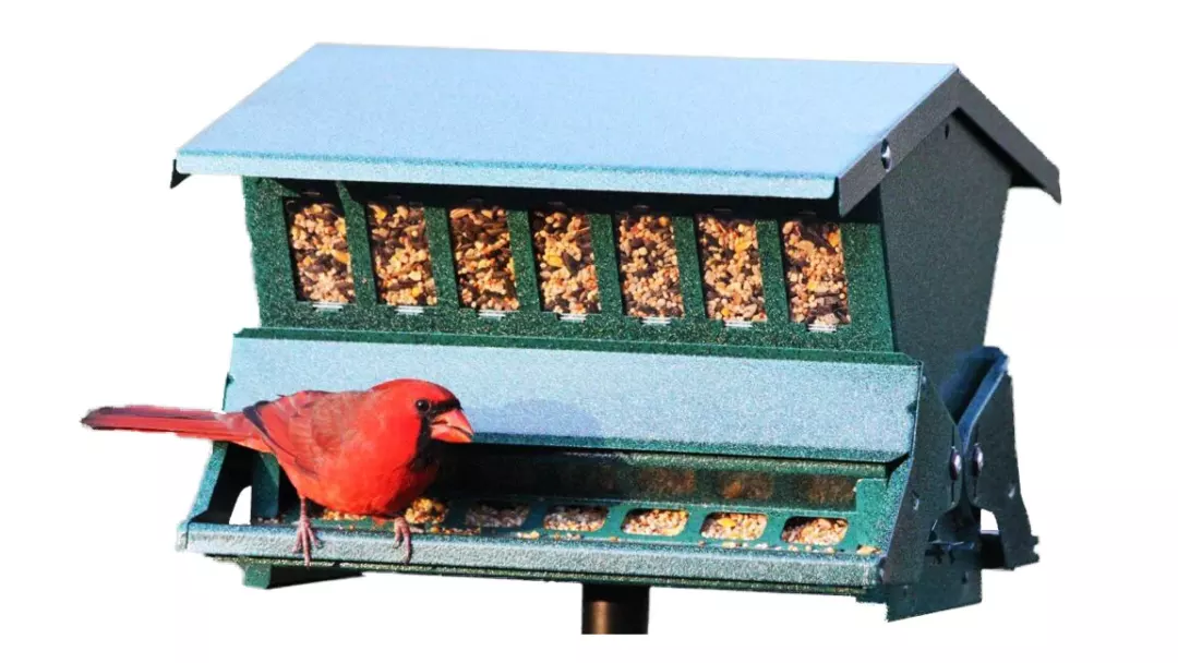 Woodlink Absolute II Squirrel Proof Bird Feeder