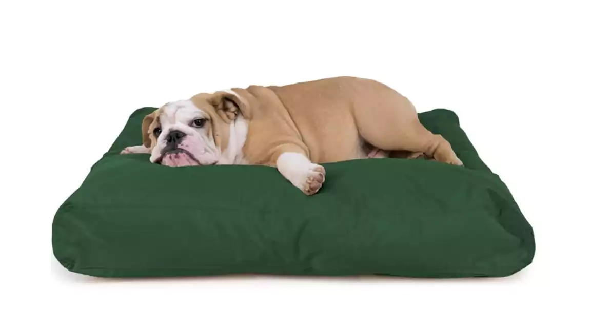 Durable and Indestructible Dog Beds