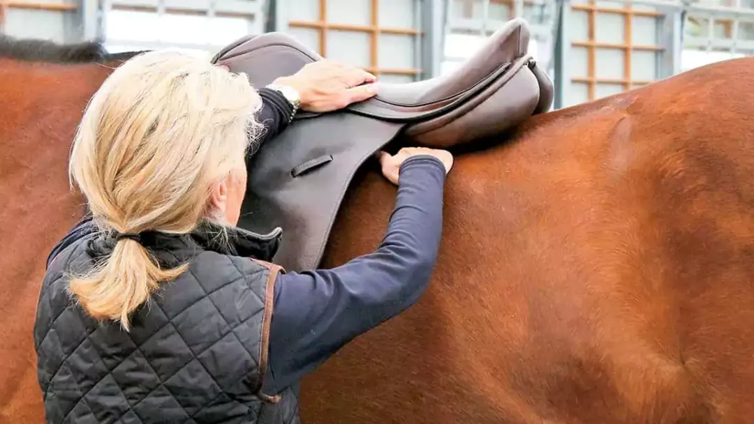 Importance of proper saddle fit and adjustment