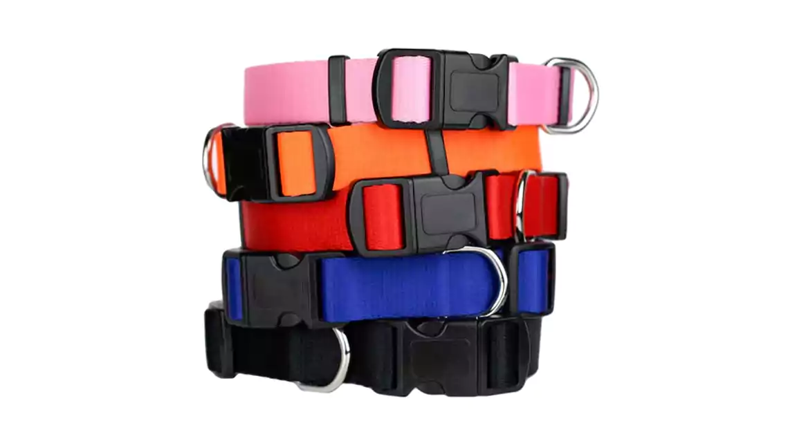 cat Quick release collars