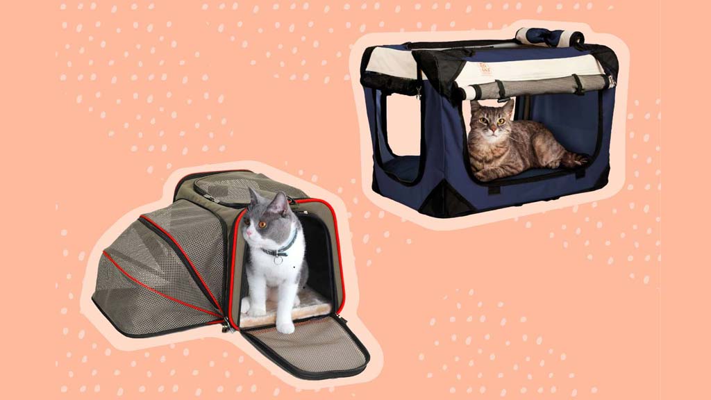 Best-Budget-Cat-Carrier