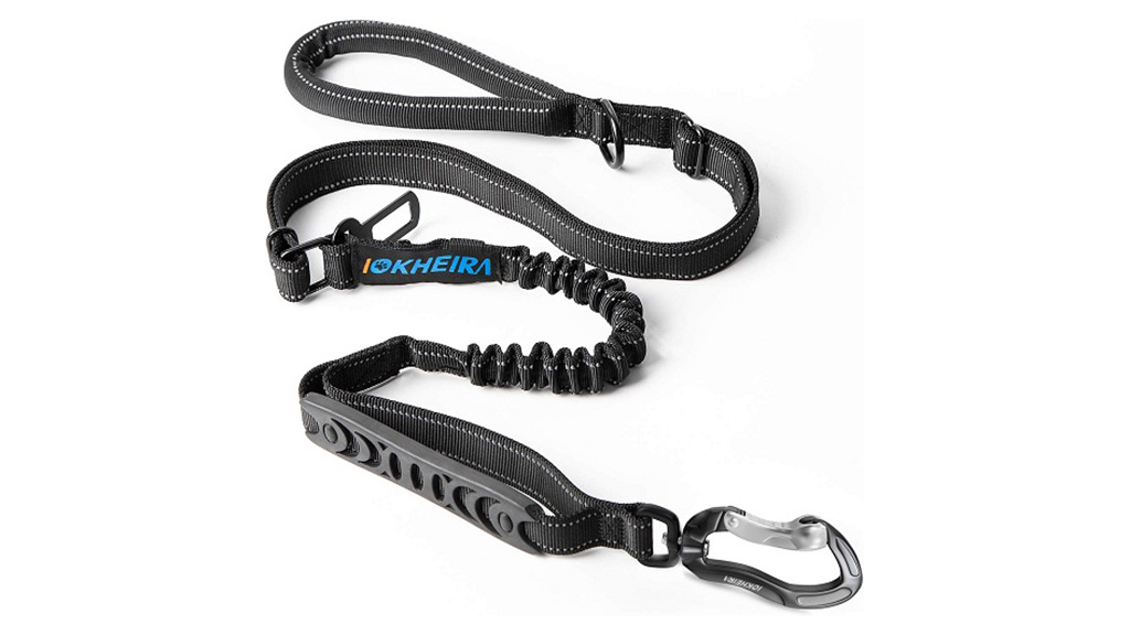Best-leash-for-large-dogs-that-pull