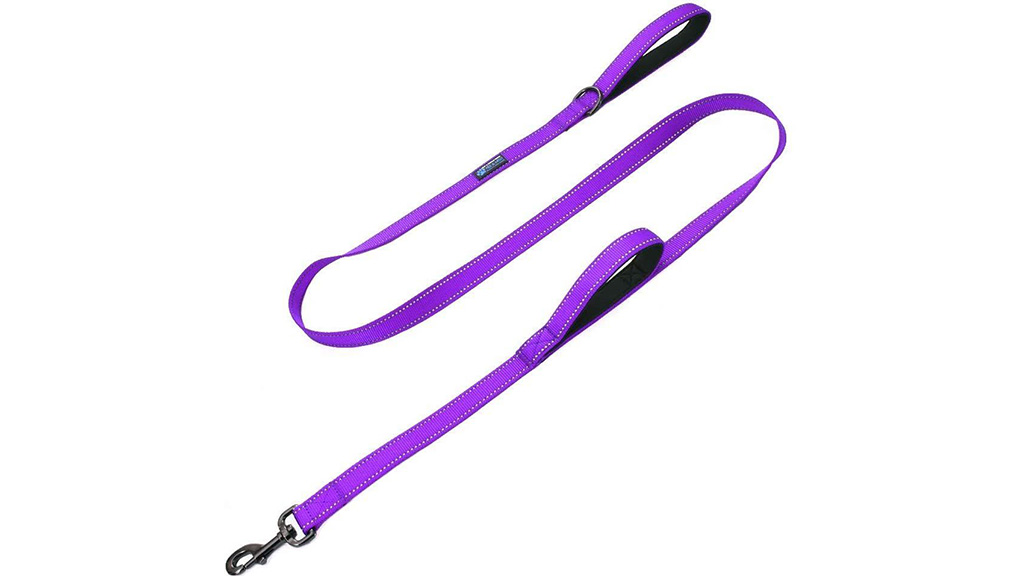 Best-(less-expensive)-rope-leash