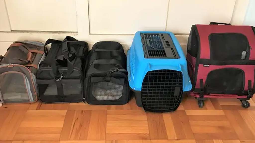 Best-multi-cat-carrier