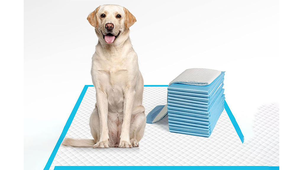 Best-pee-pads-for-dogs