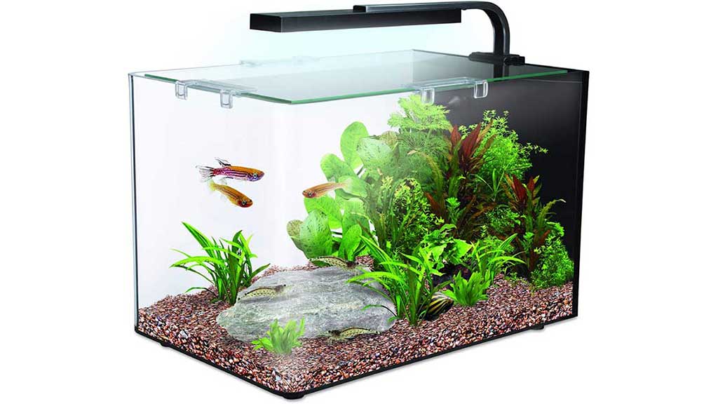 Best-small-fish-tanks