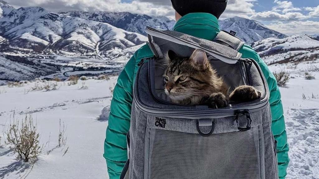 Cat-carrier-backpack