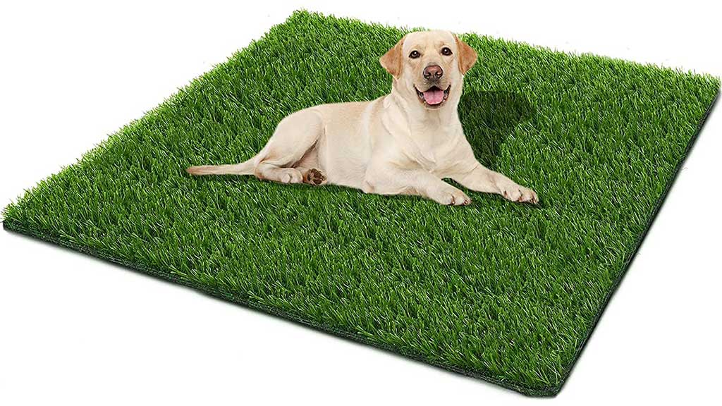 Dog-Grass-Pee-Pads