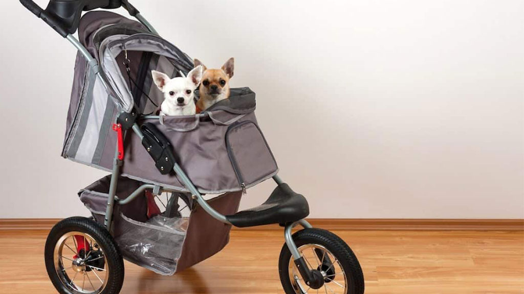 buy-Dog-strollers