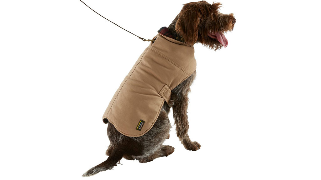 L.L.Bean-Trail-Model-Dog-Rain-Coat