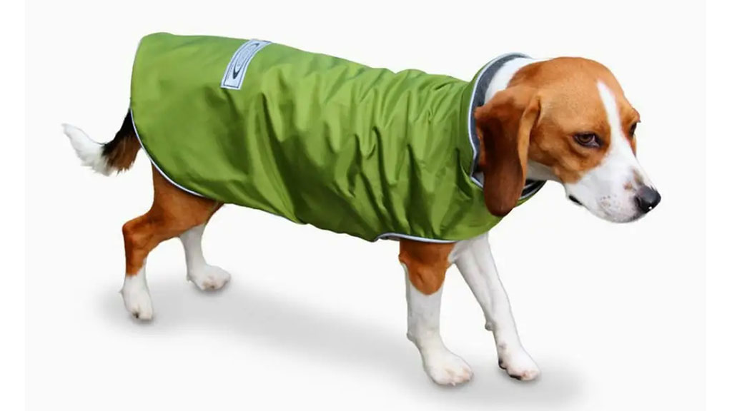 Best-Raincoats-for-dogs