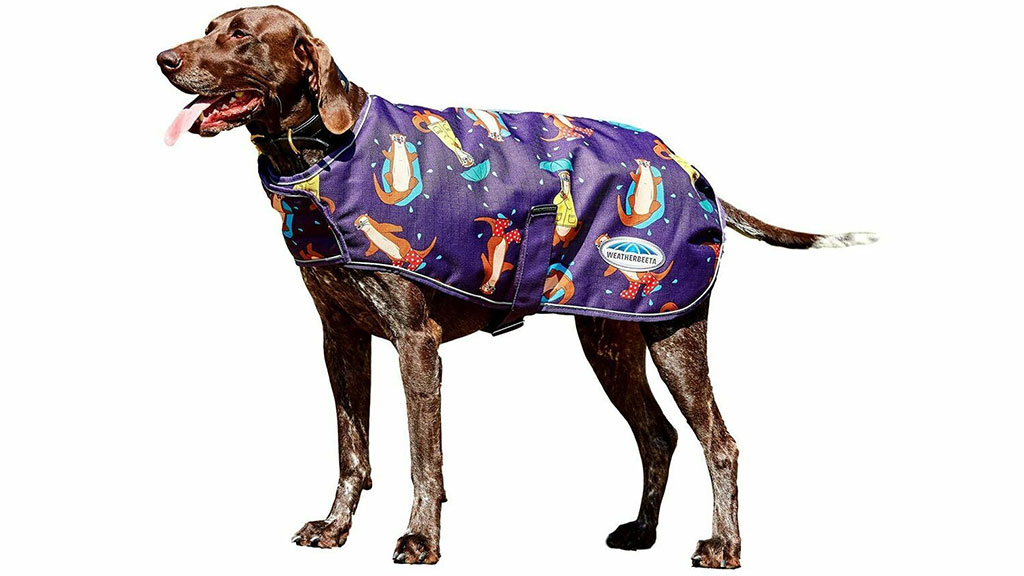 Weatherbeeta-Comfitec-Premier-Free-Park-Dog-Coat