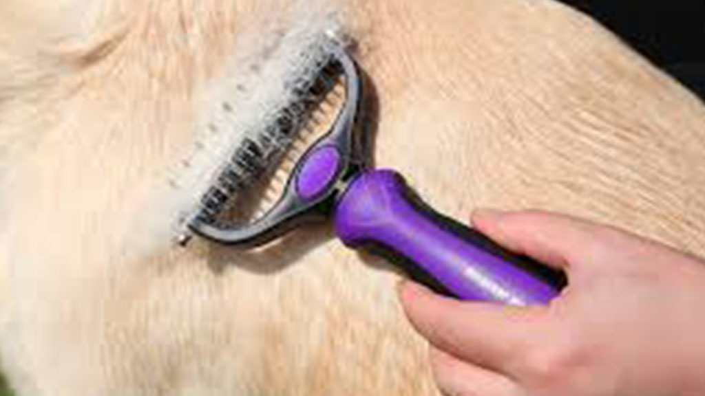 Pet-Neat-Pet-Grooming-Brush