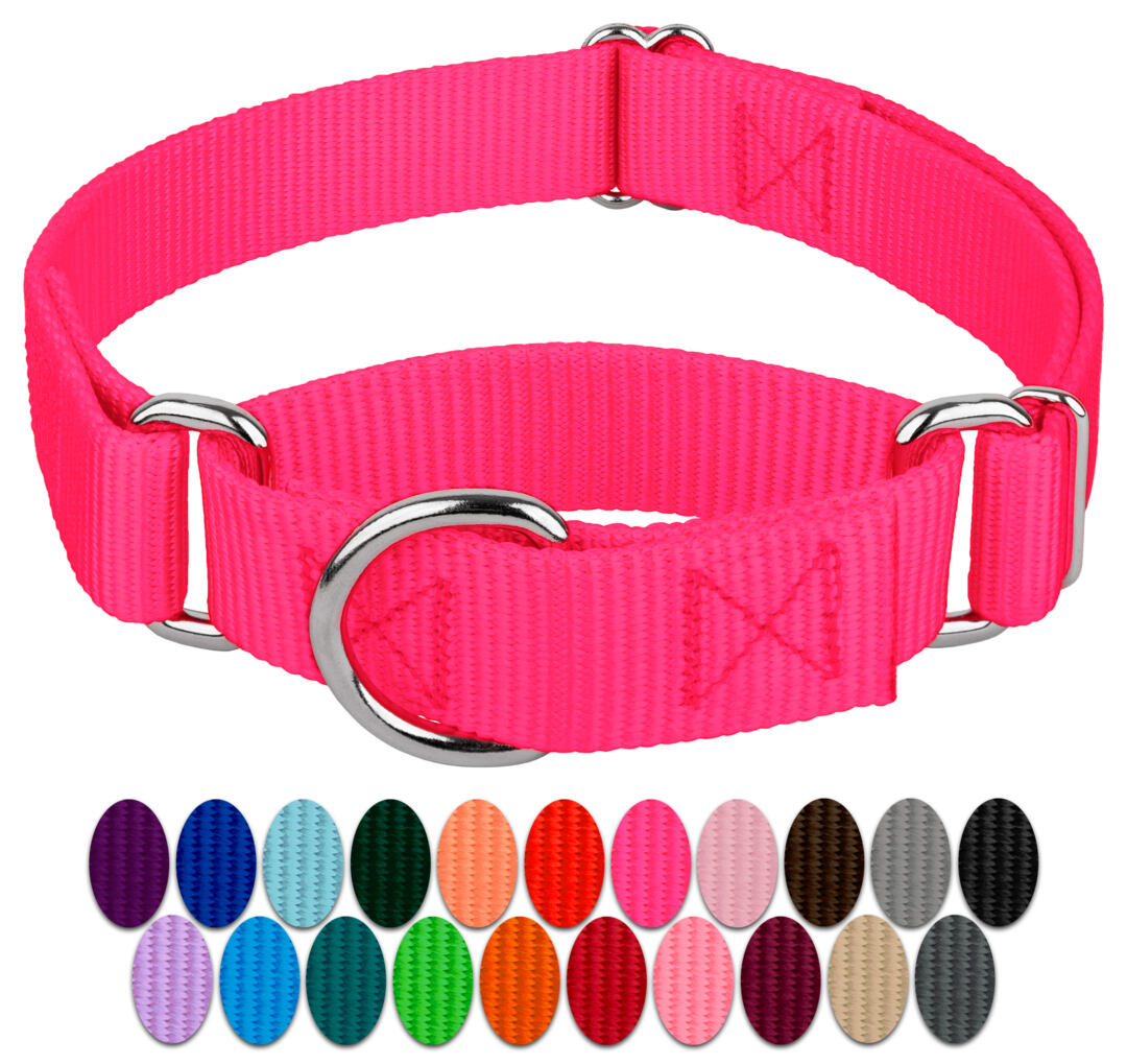 Best Martingale Collars for Controlled Training The Ultimate Guide