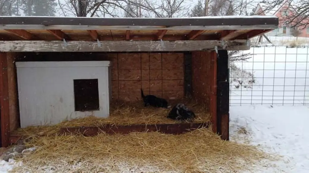 Adding-Warmth-to-Your-Wooden-Dog-House