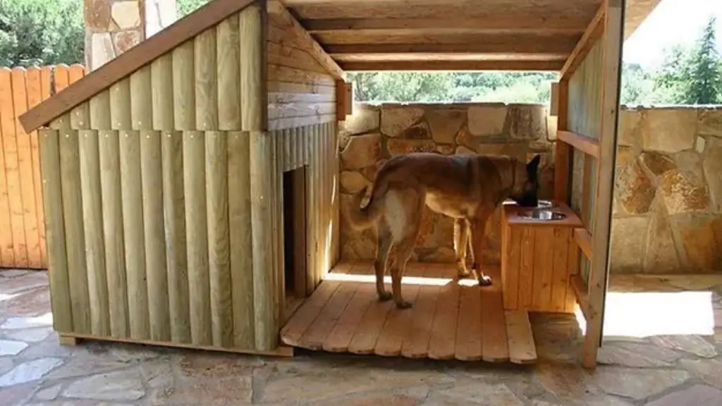 Building-a-Large-Dog-House