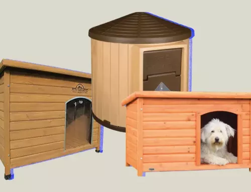A Guide on How to Heat Your Dog’s House Safely