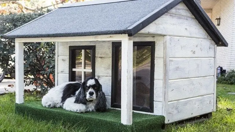 LANDSCAPING AROUND THE DOG HOUSE