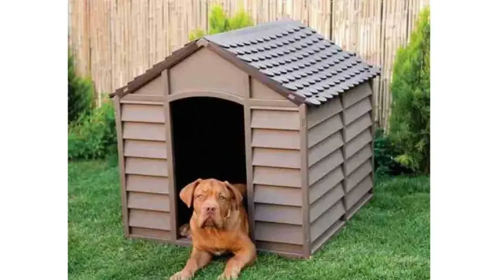 Weatherproofing-the-Dog-House