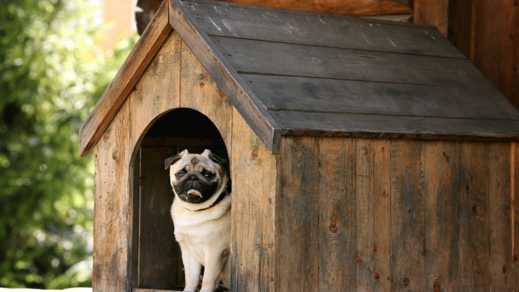 Where-to-Find-Wooden-Dog-House-Plans
