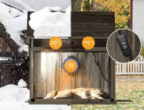 Discover Ways to Keep Your Dog House Warm